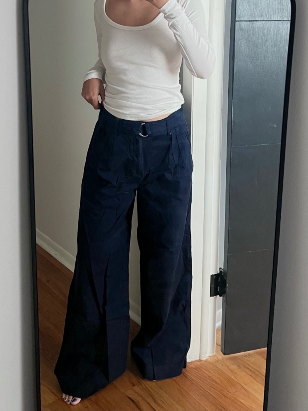 Everlane The Pleated Wide-Leg Chino Size 4
